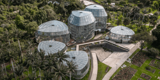 Imagen panorámica del Jardín Botánico