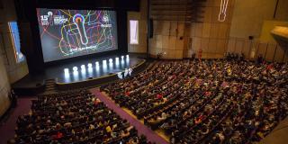 BOGOSHORTS BOGOSHORTS