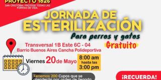 Jornada de esterilización para perros y gatos en San Cristóbal