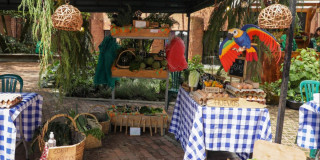 Este evento se desarrollará en la plazoleta exterior del Jardín Botánico.