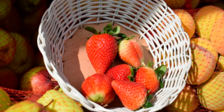 Pásate este sábado 20 de enero por los Mercados Campesinos de Kennedy