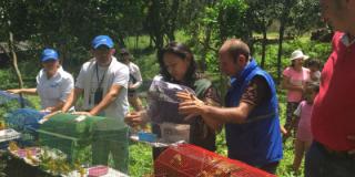 Rehabilitación animales silvestres - Foto: Secretaría de Ambiente Rehabilitación animales silvestres - Foto: Secretaría de Ambiente